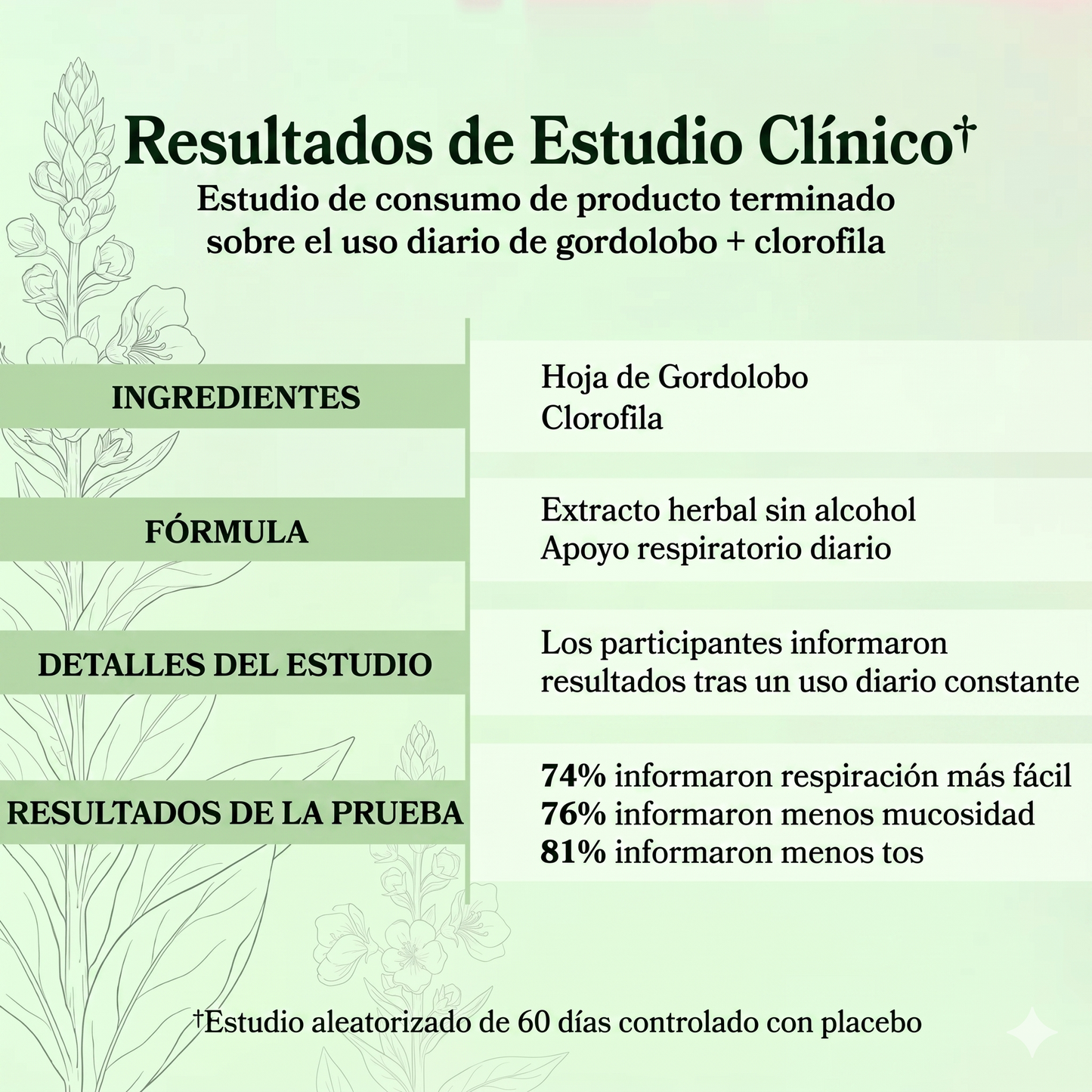 Extracto Herbal de Gordolobo y Clorofila Betterbrand 🌿🌿🌿 | Desintoxicación para Fumadores 🚬🚬🚬 | Mejora la Salud Respiratoria 🫁🫁🫁 | Elimina flemas y mocos en pecho y garganta 🫧🫧🫧