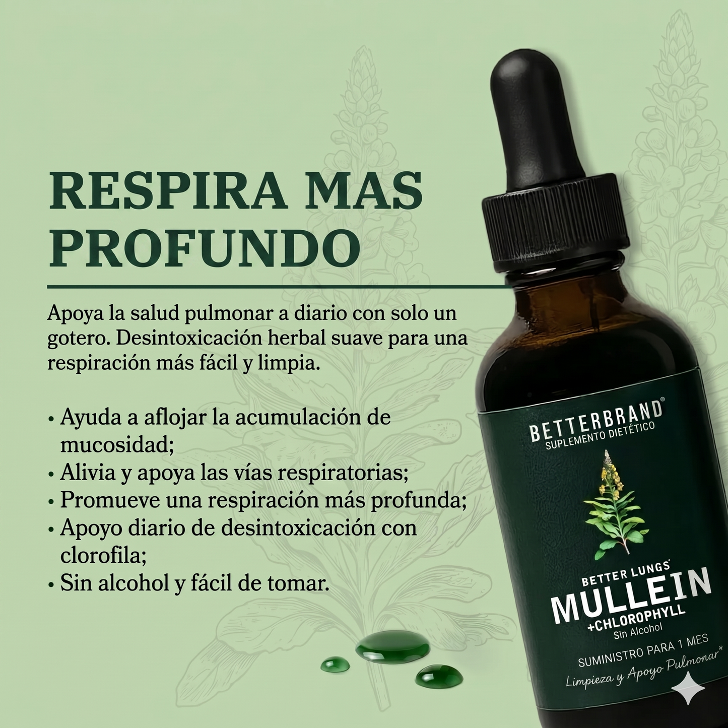Extracto Herbal de Gordolobo y Clorofila Betterbrand 🌿🌿🌿 | Desintoxicación para Fumadores 🚬🚬🚬 | Mejora la Salud Respiratoria 🫁🫁🫁 | Elimina flemas y mocos en pecho y garganta 🫧🫧🫧