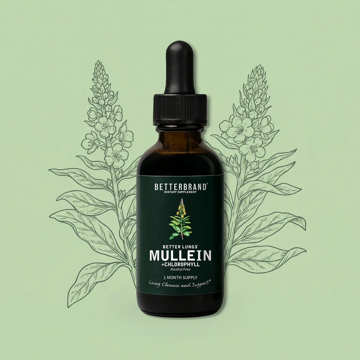 Extracto Herbal de Gordolobo y Clorofila Betterbrand 🌿🌿🌿 | Desintoxicación para Fumadores 🚬🚬🚬 | Mejora la Salud Respiratoria 🫁🫁🫁 | Elimina flemas y mocos en pecho y garganta 🫧🫧🫧